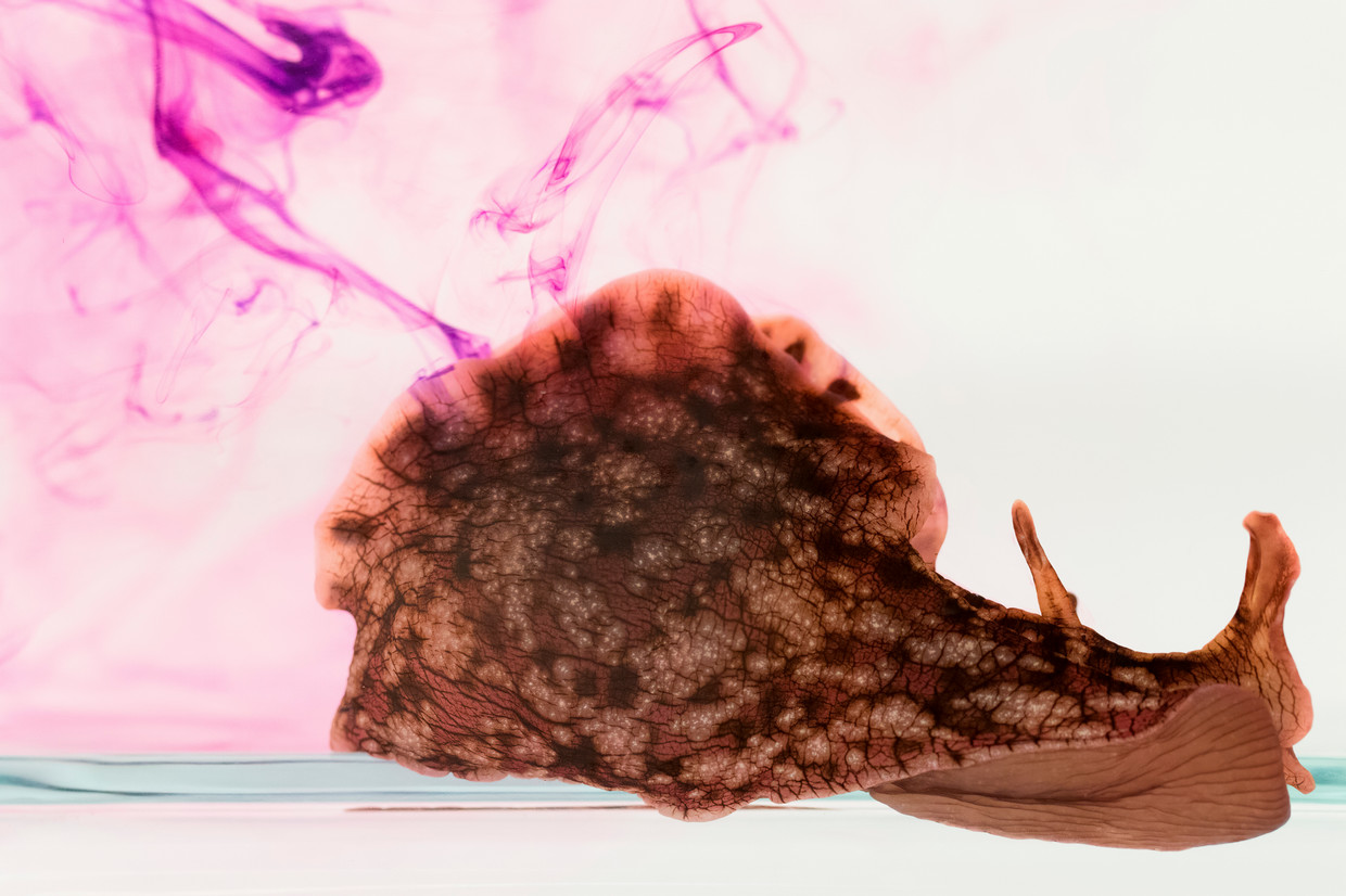 slug with ink